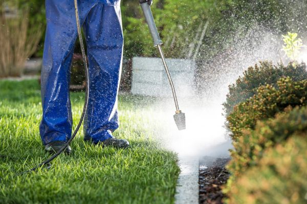 Curb Cleaning in San Diego