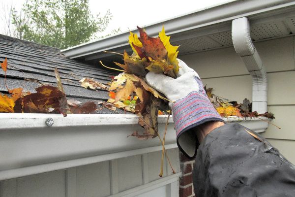 Eaves Cleaning in San Diego