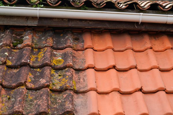 Industrial Roof Cleaning in San Diego