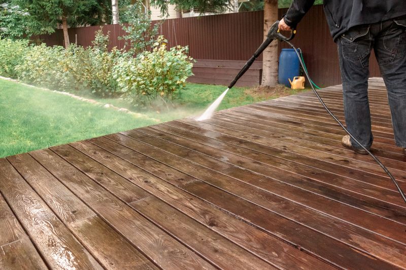 Deck Mold Cleaning